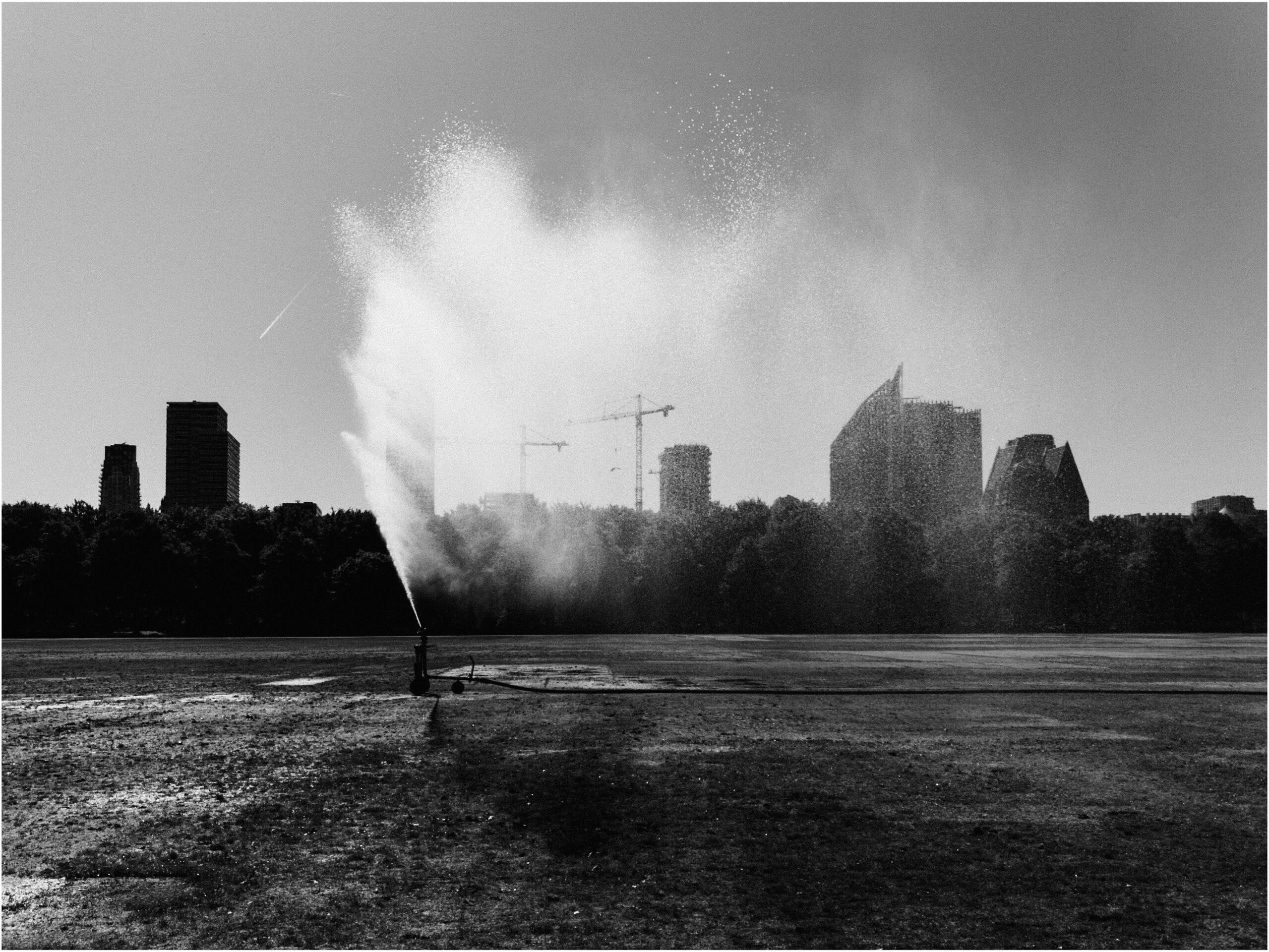 Malieveld, The Hague 2025